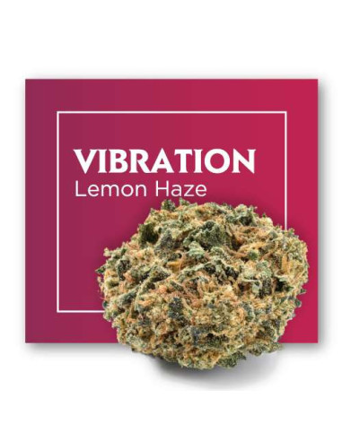 VIBRATION Lemon Haze 5gr by Cannactiva