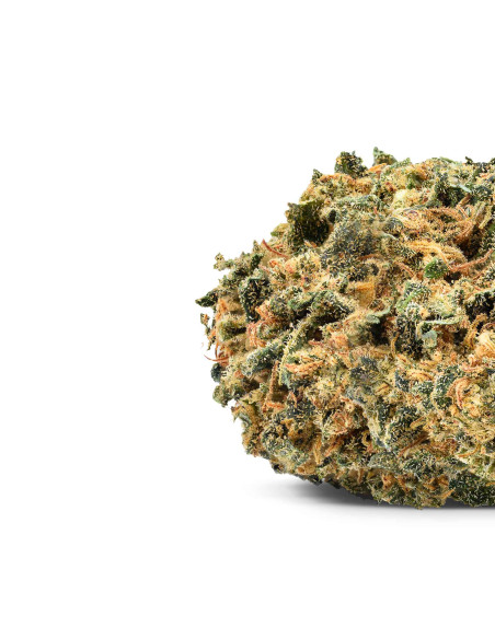 VIBRATION Lemon Haze 5gr by Cannactiva