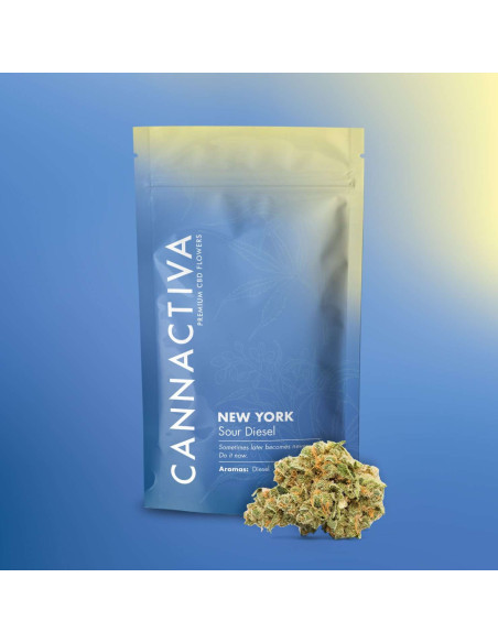 NEW YORK Sour Diesel – INDOOR 10gr by Cannactiva