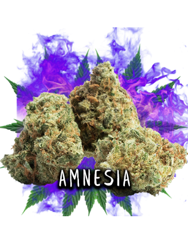 Amnesia CBD 3gr Iguana Smoke