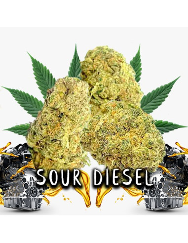 Sour Diesel CBD 5gr by Iguana Smoke