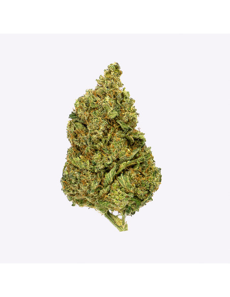 Gorilla Grillz by Gorilla Grillz CBD 5gr