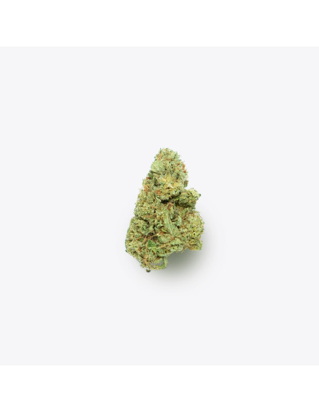 Leroy Jenkins by Gorilla Grillz CBD 2gr