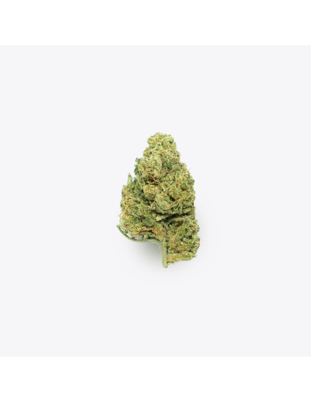 Leroy Jenkins by Gorilla Grillz CBD 5gr