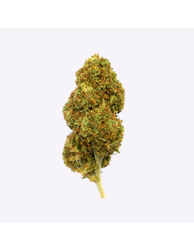Strawberry by Gorilla Grillz CBD 5gr