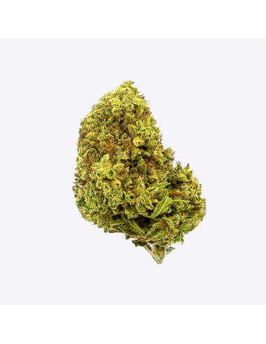 Cherry Kush by Gorilla Grillz CBD 3,5gr