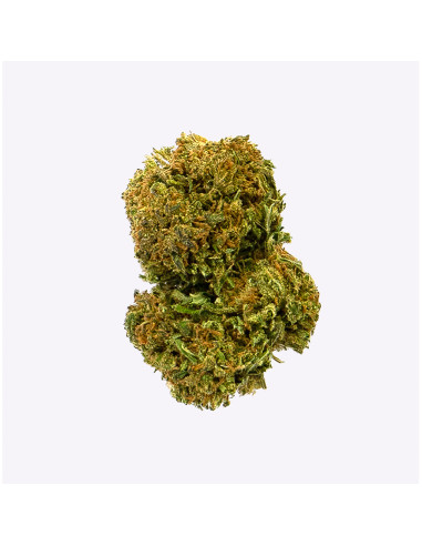 Amnesia 47 by Gorilla Grillz CBD 5gr
