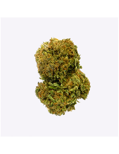 Amnesia 47 by Gorilla Grillz CBD 5gr