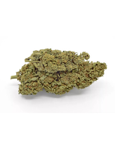 Zkittlez by Gorilla Grillz CBD 3,5gr