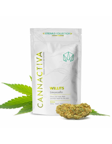 WILLITS Limoncello 5gr by Cannactiva