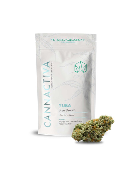 YUBA Blue Dream 10gr by Cannactiva