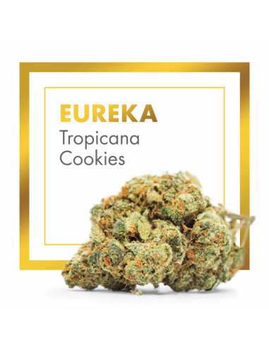 EUREKA Tropicana Cookies 2gr by Cannactiva