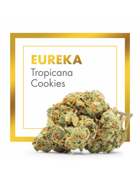 EUREKA Tropicana Cookies 2gr by Cannactiva