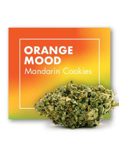 ORANGE MOOD Mandarin Cookies 2gr by Cannactiva