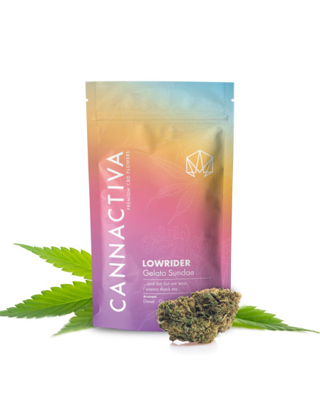 LOWRIDER Gelato Sundae 5gr by Cannactiva