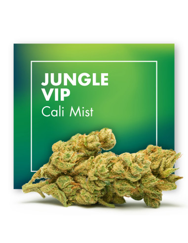 JUNGLE VIP Cali Mist 2gr by Cannactiva