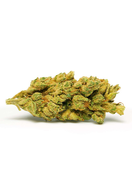 JUNGLE VIP Cali Mist 10gr by Cannactiva