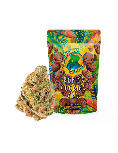 Tropical Cookies CBD 2gr by Iguana Smoke