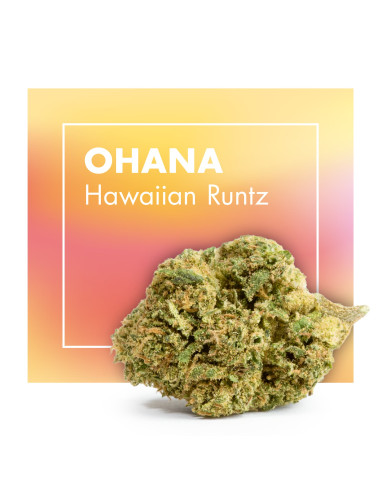 OHANA Hawaiian Runtz 10gr by Cannactiva