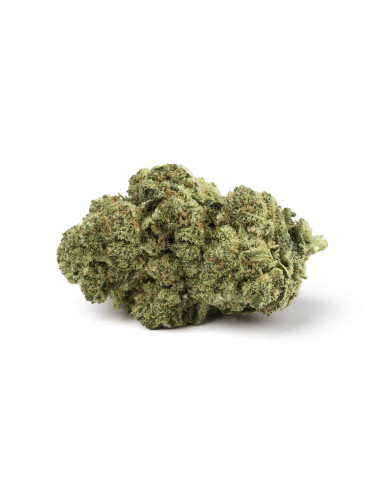 MOCHI Cherry Kush 3gr by Cannactiva