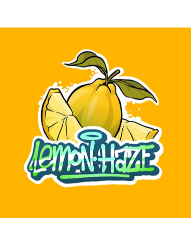 Lemon Haze by Gorilla Grillz CBD 3,5gr