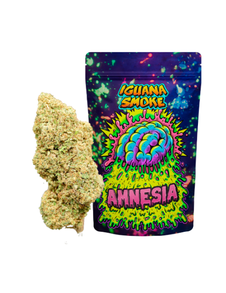 Amnesia CBD 5gr by Iguana Smoke