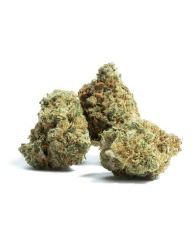 Amnesia CBD 5gr by Iguana Smoke