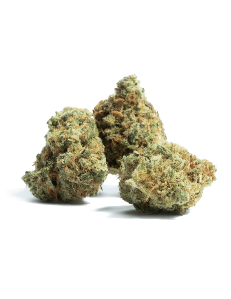 Amnesia CBD 5gr by Iguana Smoke