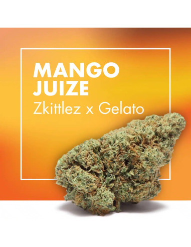 MANGO JUIZE Zkittlez x Gelato 2gr by Cannactiva
