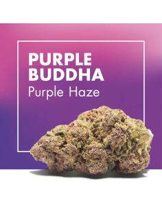 PURPLE BUDDHA 2gr by...