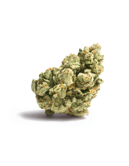 ONIRIA Amnesia 2gr by Cannactiva