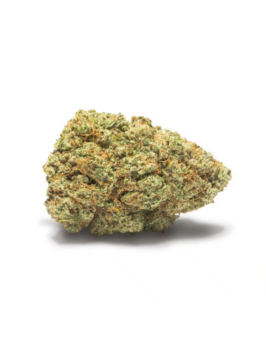 TRINITY Gelato 33 2gr by Cannactiva