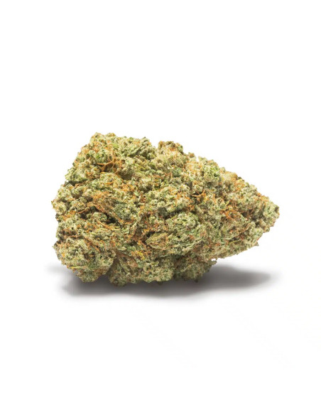 TRINITY Gelato 33 2gr by Cannactiva