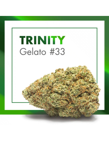 TRINITY Gelato 33 2gr by Cannactiva