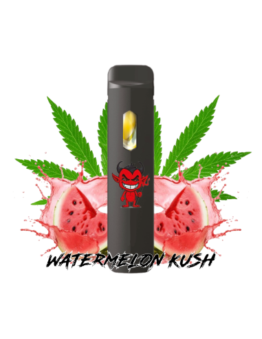 Pod Desechable STV - Demoniete Canallita Watermelon Kush
