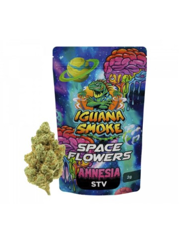 Amnesia STV 2gr by Iguana Smoke