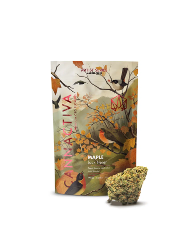 MAPLE Jack Herer 2gr by Cannactiva