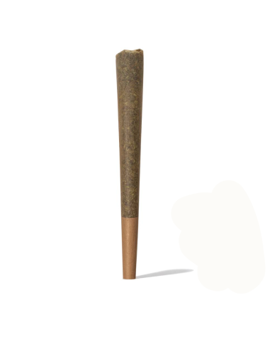 Pre Roll Cono 1g de CBD by Iguana Smoke