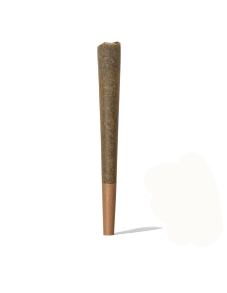 Pre Roll Cono 1g de CBD by Iguana Smoke