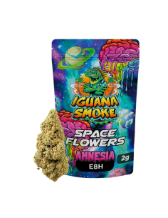 Amnesia E8H 1gr by Iguana...
