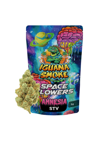 Amnesia STV 5gr by Iguana Smoke