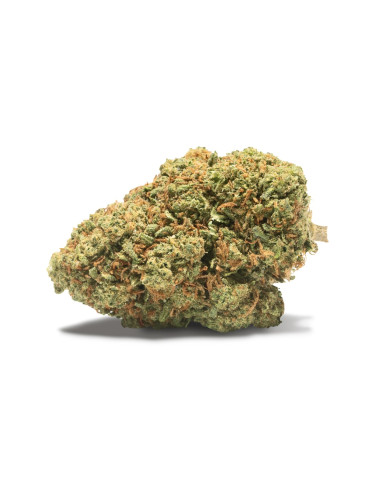 LOWRIDER Gelato Sundae 2gr by Cannactiva