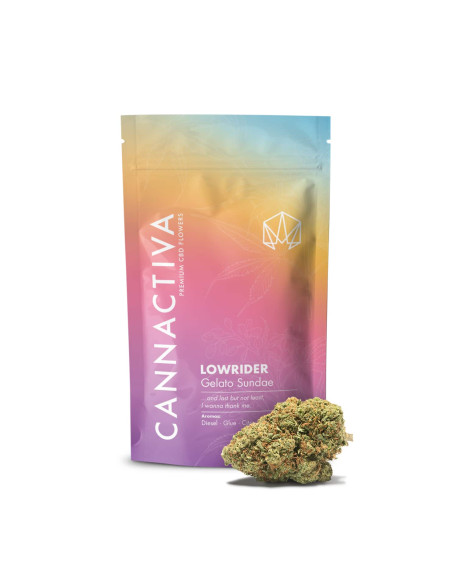LOWRIDER Gelato Sundae 5gr by Cannactiva