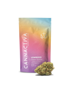 LOWRIDER Gelato Sundae 10gr... 2