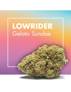 LOWRIDER Gelato Sundae 10gr...