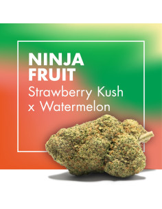 NINJA FRUIT Strawberry...