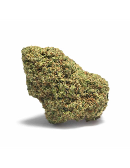 OHANA Hawaiian Runtz 5gr by Cannactiva