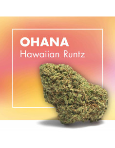 OHANA Hawaiian Runtz 5gr by...