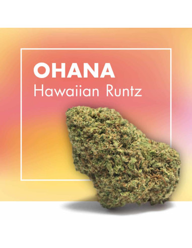 OHANA Hawaiian Runtz 5gr by Cannactiva