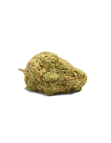 MARULA Fruity Bliss 2gr by Cannactiva